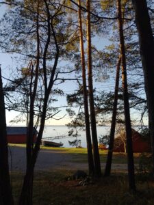 järvenrantamaisema